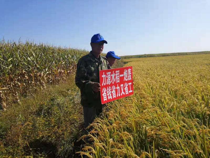 &#26131;&#28216;&#40;&#20013;&#22269;&#41;&#121;&#105;&#121;&#111;&#117;