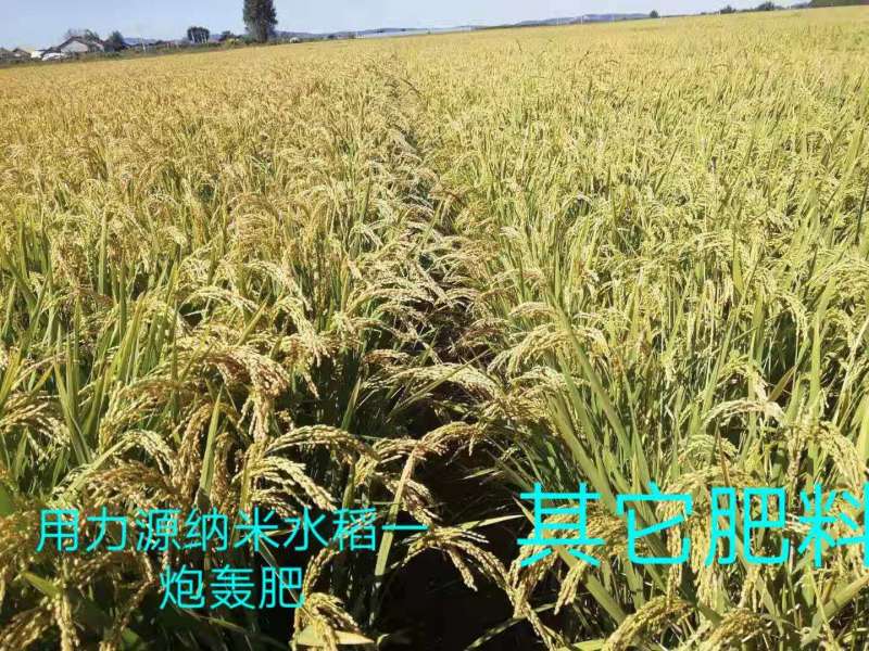 &#26131;&#28216;&#40;&#20013;&#22269;&#41;&#121;&#105;&#121;&#111;&#117;