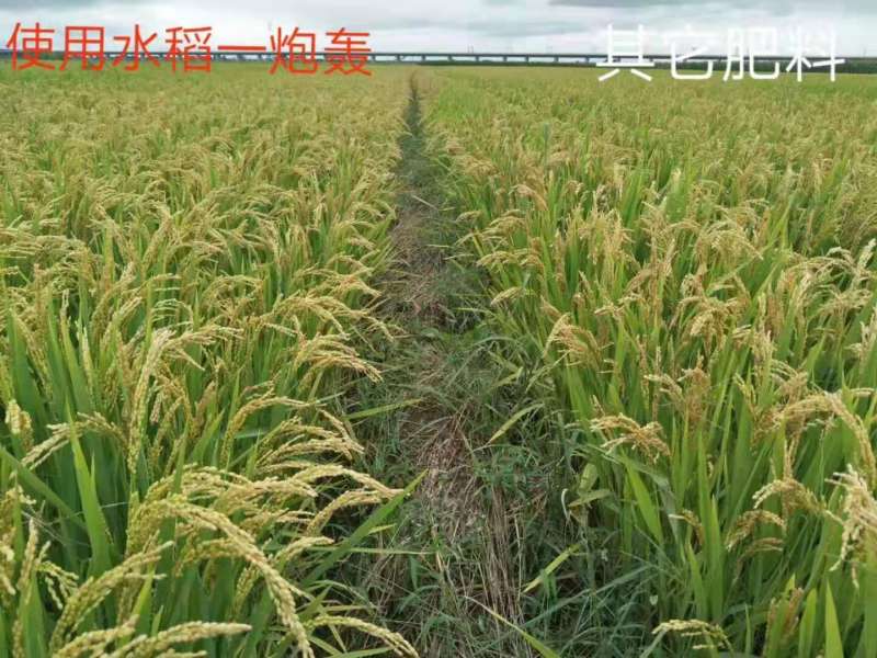 &#26131;&#28216;&#40;&#20013;&#22269;&#41;&#121;&#105;&#121;&#111;&#117;
